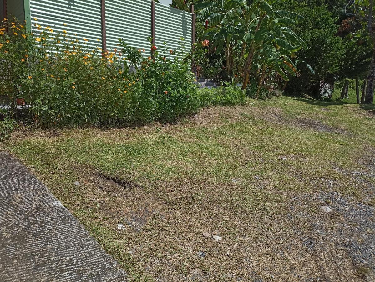 Bungalow Milo บูญองต์ ภายนอก รูปภาพ